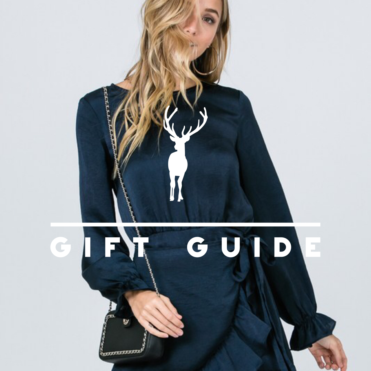 GIFT GUIDE or WISH LIST...